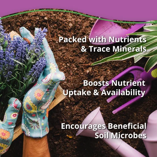 Miniatura 5 de Kelp Bliss (10 libras) - Fertilizante orgánico de harina de algas para plantas, suelo de jardín, flores, verduras y césped, fertilizante orgánico