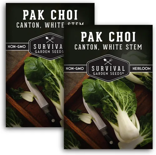Survival Garden Seeds - Semillas Pak Choi o Bok Choy de tallo blanco de cantón para plantar - 2 paquetes con instrucciones para cultivar Brassica