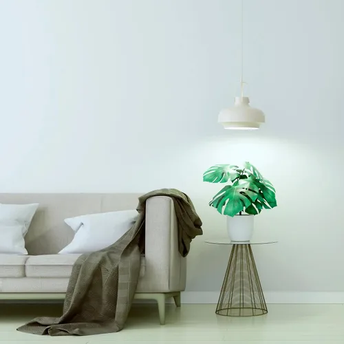 Miniatura 8 de GE Bombilla de luz LED de cultivo, PAR38 luz de inundación, luces de cultivo LED de interior para flores y frutas, espectro de luz roja avanzado