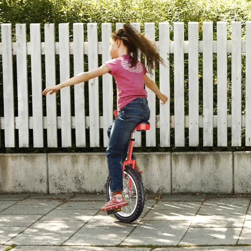 Miniatura 5 de AW Rueda de 16/18/20/24 pulgadas, asiento ajustable para exteriores, para adultos, niños, deportes al aire libre, ejercicio de fitness, para elegir