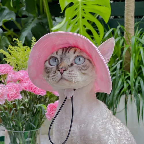 Miniatura 6 de Sombrero para mascotas con agujeros para las orejas, protector solar, gorra de béisbol adecuada para perros pequeños y medianos, sombrero de Rosa