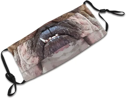 Miniatura 6 de goincrond Divertida máscara facial de animales lavable de tela transpirable reutilizable con filtros para adultos mujeres hombres y jóvenes