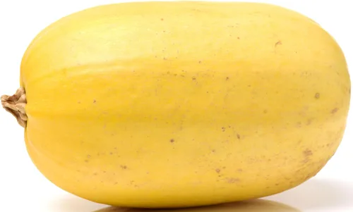 Miniatura 65 de 50 Hale's Best Cantaloupe Seeds for Planting - Sweet Aromatic Heirloom, Non-GMO, USA Grown by RDR Seeds
