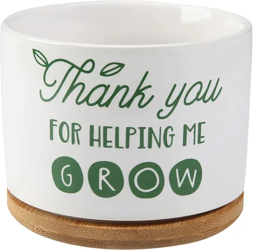 DOMG Regalo de Apreciación para Maestros, Maceta de Cerámica para Suculentas Pequeña Maceta de Flores para Uso en Interior y Exterior, Gracias por