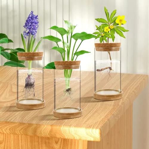 Miniatura 7 de Estaciones de propagación de plantas, paquete de 3 terrarios de plantas, tarros de propagación de vidrio hidropónicos para plantas