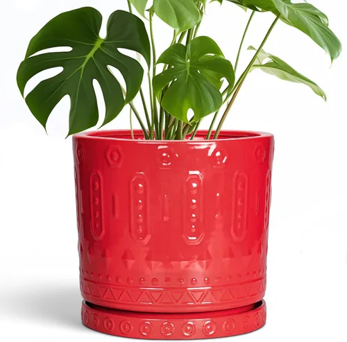 Miniatura 18 de Maceta de Cerámica Eightpot - Maceta de 20 cm para Interior con Agujeros de Drenaje y Platillo, Maceta Redonda para Exterior, Maceta Moderna de Azul