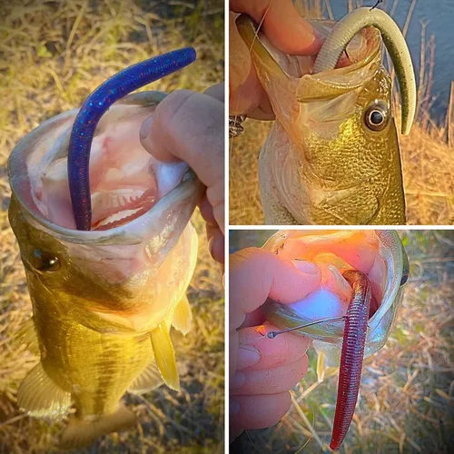 Miniatura 2 de 30/50/78/100 piezas Senko Worms Kit - Señuelos de pesca de plástico suave de 4"/5" con impregnación de sal para pesca de lubina Varios colores A