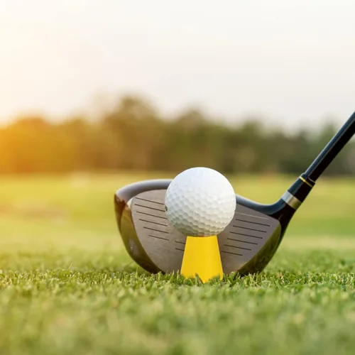 Miniatura 4 de Angoily 24 piezas de accesorios de práctica de pelotas de golf, suministros de pelotas de golf, clavos de práctica de pelota de golf, clavos