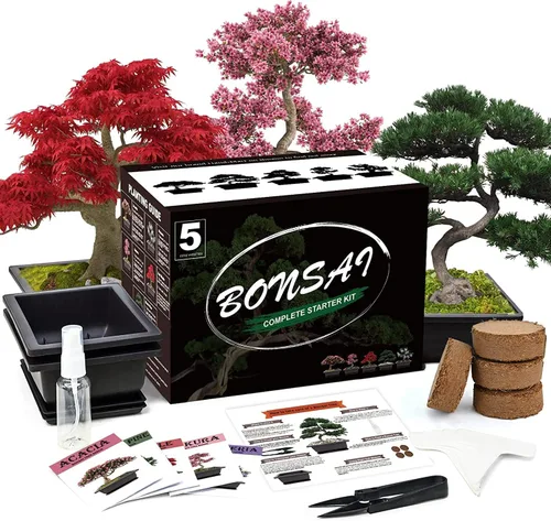 Meekear 5 Kit de Árbol Bonsái Juego Completo de Herramientas para Cultivo de Plantas, Kit Inicial para Cultivo de Árbol Bonsái en Maceta para