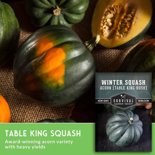 Miniatura 3 de Table King - Semilla de calabaza bellota para plantar, 1 paquete con instrucciones para plantar y cultivar calabazas de invierno estilo arbusto