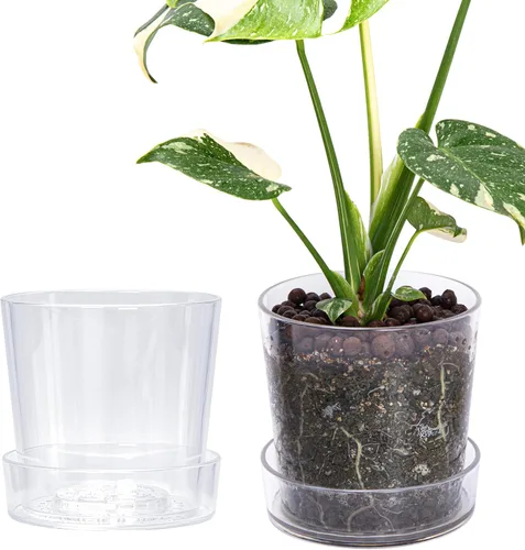 Miniatura 24 de Phoenix Vine Maceta de acrílico transparente de 3.5 pulgadas con bandeja, maceta de orquídeas con agujeros de drenaje, platillo profundo para riego