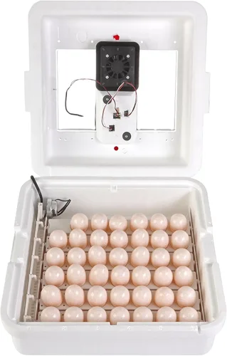 Miniatura 2 de Little Giant Incubadora de lujo con volteador de huevos