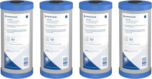 Pentair Pentek EPM-BB Filtro de Agua de Carbón Big Blue, Cartucho de Repuesto de Bloque de Carbón Epsilon Modificado para Toda la Casa con Filtro de