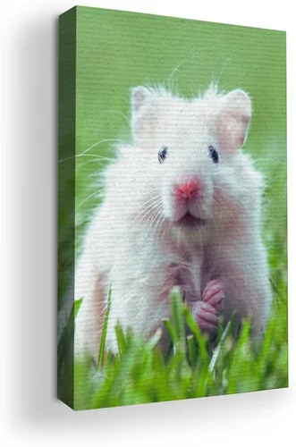 Miniatura 56 de Mavis Print - Lienzo decorativo para pared con diseño de conejo/conejo, 36 x 36 pulgadas, decoración de pared de animales impresos en HD y marco