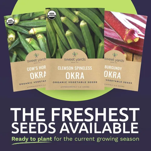 Miniatura 3 de Paquete variado de semillas orgánicas de Okra Lovers – 3 paquetes individuales – Temporada 2026 – Cowhorn, Burgundy y Clemson Spineless para plantar