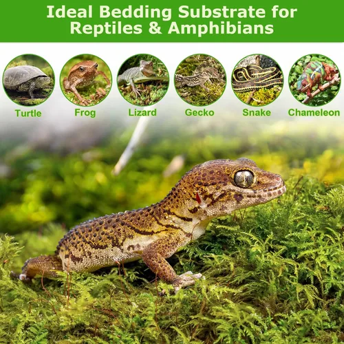 Miniatura 6 de Legigo Musgo esfagnum de 3.5 onzas para plantas, mezcla para macetas de musgo de orquídea natural de 4 cuartos de galón, mezcla seca, musgo