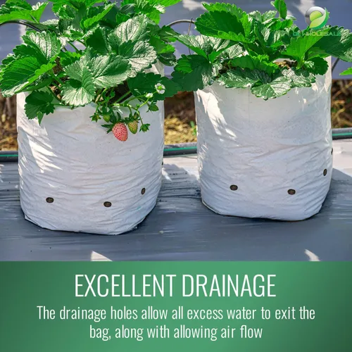 Miniatura 5 de DL Wholesale Grow 1 bolsas de cultivo de plantas para plantar, bolsa de plástico para plantas, macetas de vivero para flores, verduras, hierbas, 1/2
