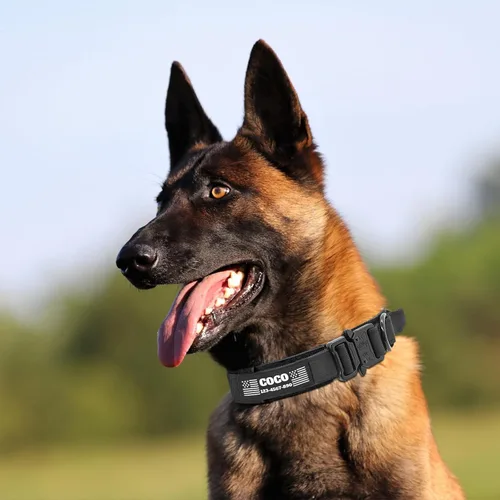 Miniatura 5 de Collar táctico personalizado para perro con parches de nombre y números, collar de perro personalizado con hebilla de metal de liberación rápida