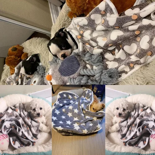 Miniatura 8 de 1 paquete de 3 mantas para cachorros, súper suaves y cálidas, tapete gris para dormir con bonito estampado de vellón esponjoso, manta de franela