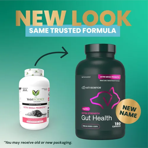 Miniatura 2 de VetriScience Suplementos digestivos probióticos y prebióticos extra fuertes para la salud intestinal para perros y gatos, gases, diarrea y apoyo