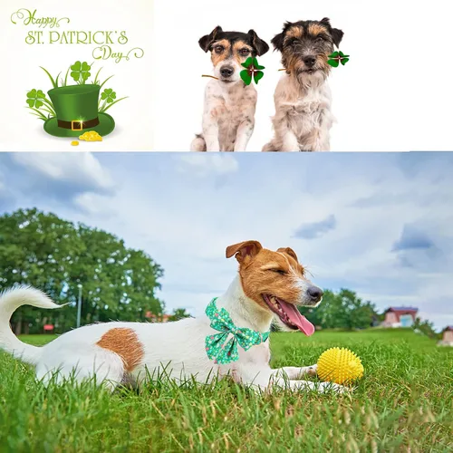 Miniatura 5 de Unique style paws Collar de perro del día de San Patricio con corbata, collar de cachorro de corazón de trébol de arco iris para niños pequeños