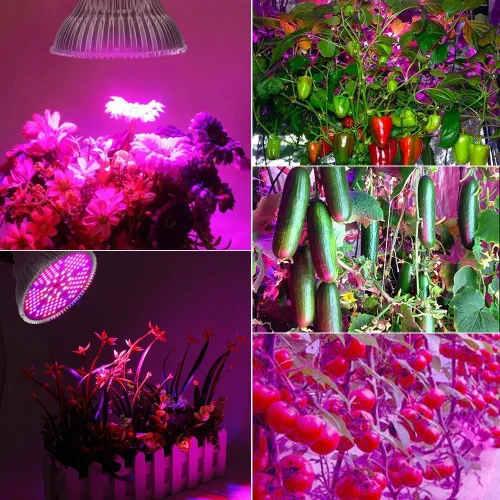 Miniatura 2 de Paquete de 2 bombillas LED de 100 W, espectro completo, 150 LED de espectro completo, lámpara de cultivo para plantas de interior para invernadero e