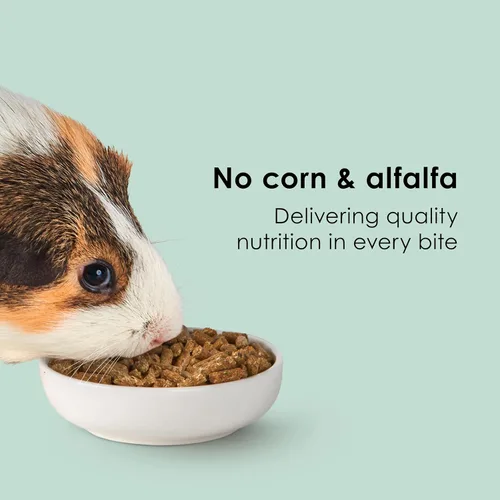Miniatura 6 de Kaytee Timothy Complete - Alimento para conejillo de indias, fabricado con heno Timothy, alto en fibra, apoya la salud dental y la digestión