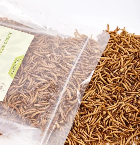 Miniatura 7 de SANSECT Gusanos de harina secos de 5 libras, gusanos de harina secos 100% naturales sin OMG para pollos, alimento para pollos con alto contenido