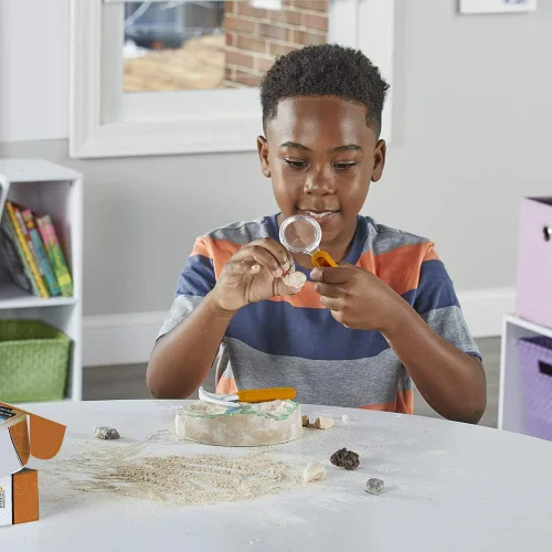 Miniatura 5 de hand2mind - Kit de excavación de fósiles para excavar y exhibir, vitrina de fósiles, 8 fósiles reales para descubrir, kits de excavación para niños