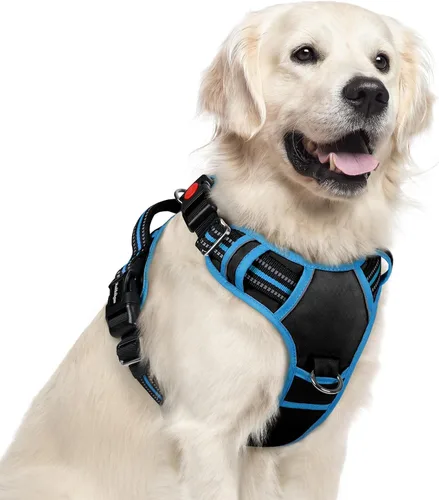 Miniatura 41 de rabbitgoo Arnés para perro de tamaño pequeño, chaleco para perro sin tirones con 3 hebillas, arnés ajustable y acolchado suave para mascotas con asa