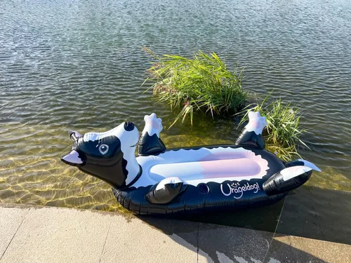Miniatura 9 de Flotador inflable de verano para perros negros, para adolescentes, adultos y mascotas
