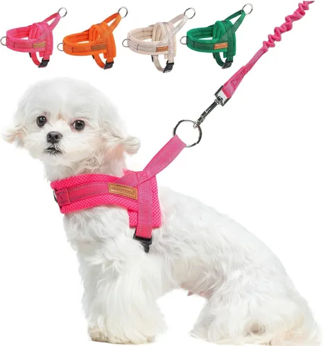 Miniatura 14 de BEAUTYZOO Arnés para Perros Pequeños, Juego de Arnés y Correa sin Tirones, Arnés de Chaleco para Cachorros Suave a Prueba de Escapes con Manija