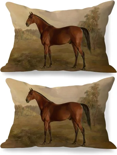 Miniatura 19 de Fundas de almohada de 12 x 20 pulgadas, regalos para amantes de los caballos, fundas de almohada lumbares decorativas para el hogar, sala de estar