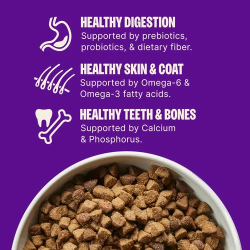 Miniatura 5 de Wellness Complete Health - Alimento seco para perros, sin granos, natural, receta de cordero, (bolsa de 24 libras)
