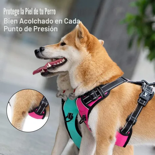 Miniatura 3 de PoyPet - Arnés reflectante para perros pequeños a grandes, sin tirones, suave, ajustable, cómodo, con parte delantera y trasera, 2 enganches