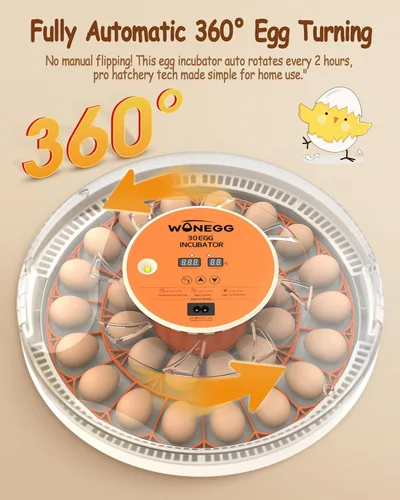 Miniatura 2 de 30 incubadoras de huevos para incubar huevos con girador automático de huevos, control automático de temperatura, velas LED, monitor de humedad