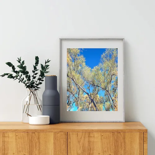 Miniatura 3 de San Pedro River Arizona Cottonwood Tree Autumn Forest Nature Print
