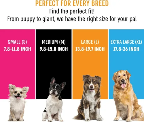 Miniatura 6 de Active Pets Collar de liberación rápida para perros pequeños y grandes, collar de seguridad ajustable con hebilla segura, comodidad transpirable