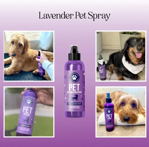 Miniatura 4 de Spray desodorizante de aceite de lavanda para perros y cachorros malolientes y spray calmante con aceite esencial de lavanda, desodorante