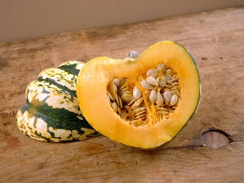 Miniatura 4 de TomorrowSeeds - Semillas de calabaza dulce de bola de masa hervida - Más de 30 unidades - para plantar carnaval bellota delicata calabaza