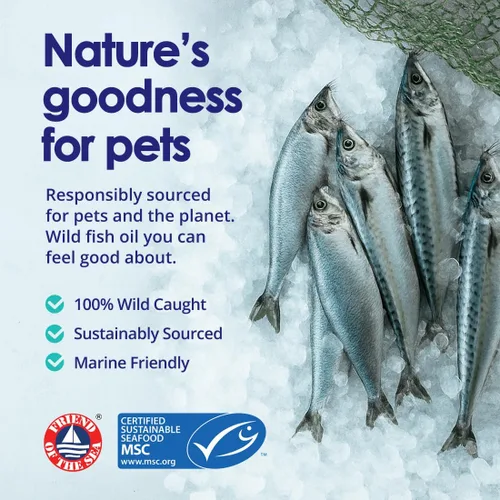 Miniatura 3 de Aceite de pescado líquido para perros con ácidos grasos Omega 3, 6 y 9, capturado en el medio silvestre de Islandia, suplemento para la piel