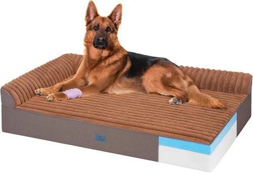 Veehoo Cama ortopédica para perros mayores grandes, cama para perros grandes de espuma viscoelástica XXL de 7 pulgadas de grosor con cojines en