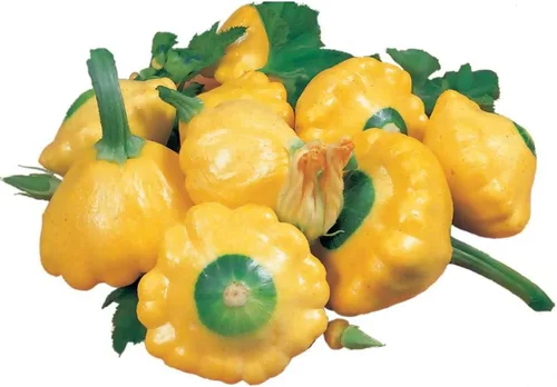 Park Seed Semillas de calabaza espagueti híbridas Tivoli - Ganador de la AAS con sabor dulce y textura crujiente, hábito compacto de arbusto para