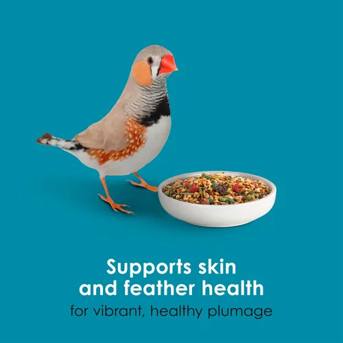 Miniatura 8 de Kaytee Forti-Diet Pro Health Canary & Finch Alimento para pájaros para mascotas, 2 libras