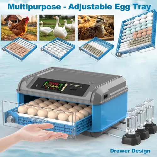 Miniatura 4 de Incubadora de huevos mejorada para incubar huevos, incubadora de huevos de pollo con giro automático de huevos, control de humedad, sistema
