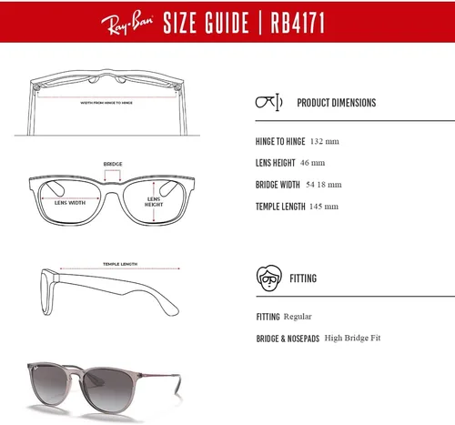 Miniatura 6 de Ray-Ban RB4171 ERIKA Round Sunglasses For Women +BUNDLE with ACCESSORY EYEWEAR KIT