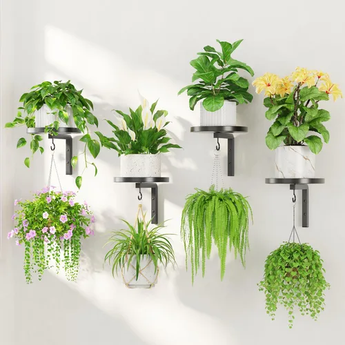 Miniatura 15 de LASZOLA 2 piezas de estantes de pared para plantas con ganchos para macetas de interior, soportes flotantes de ventana de metal resistente para Negro