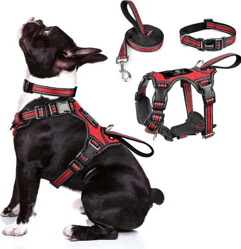 Miniatura 19 de WINSEE - Juego de arnés, collar y correa para mascotas, todo en uno, arnés reflectante para perros sin tirones con hebillas ajustables para Rojo