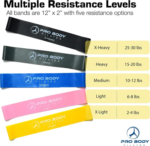 Miniatura 7 de ProBody Pilates Juego de anillos con anillo de círculo mágico de 14 pulgadas, pelota de ejercicio de 9 pulgadas, 5 bandas de resistencia, bomba