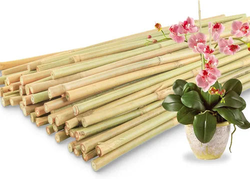 Miniatura 9 de 50 piezas / estacas de bambú de 2 pies para plantas de interior y exterior, palos de soporte para plantas de jardín, postes para tomate, verduras